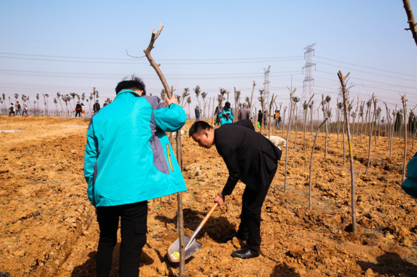 “攜手植樹(shù)，共創(chuàng)藍(lán)天”丨南京新華師生共筑新華育才林